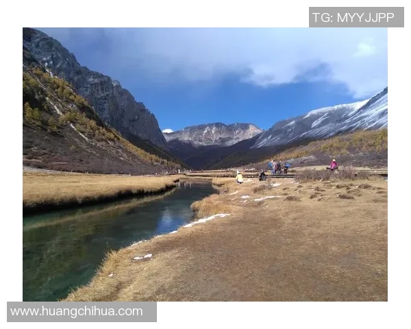 深度探讨赵静在DOTA2世界中的成长与挑战之旅实时数据